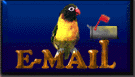Bird Mail